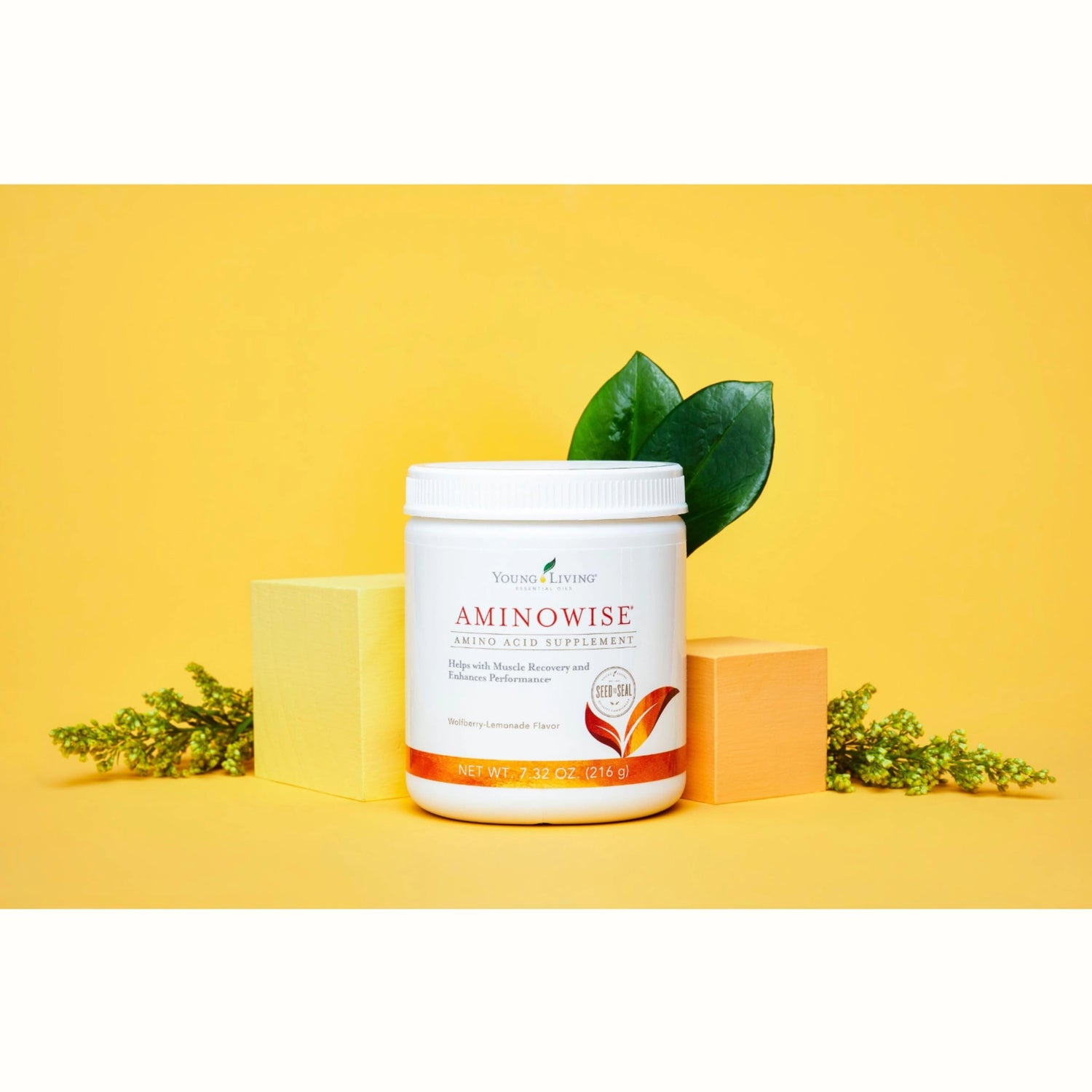 Pot AminoWise van Young Living tegen een frisse gele achtergrond – ondersteunt bij focus en spanningshoofdpijn.