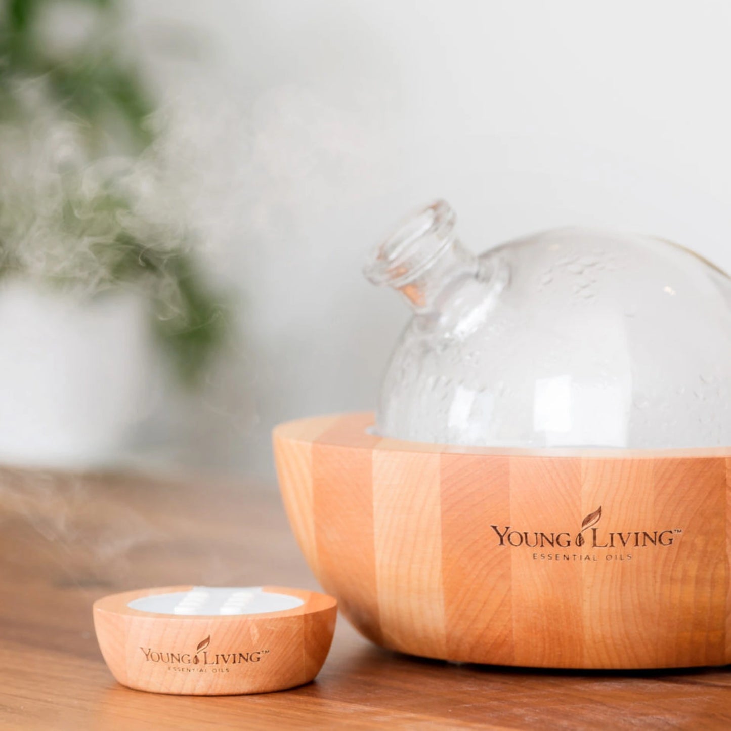 Heerlijke geuren vullen de woonkamer dankzij de essentiële oliën van Young Living in de Aria Ultrasonic Diffuser. Creëer een ontspannen en harmonieuze sfeer thuis.