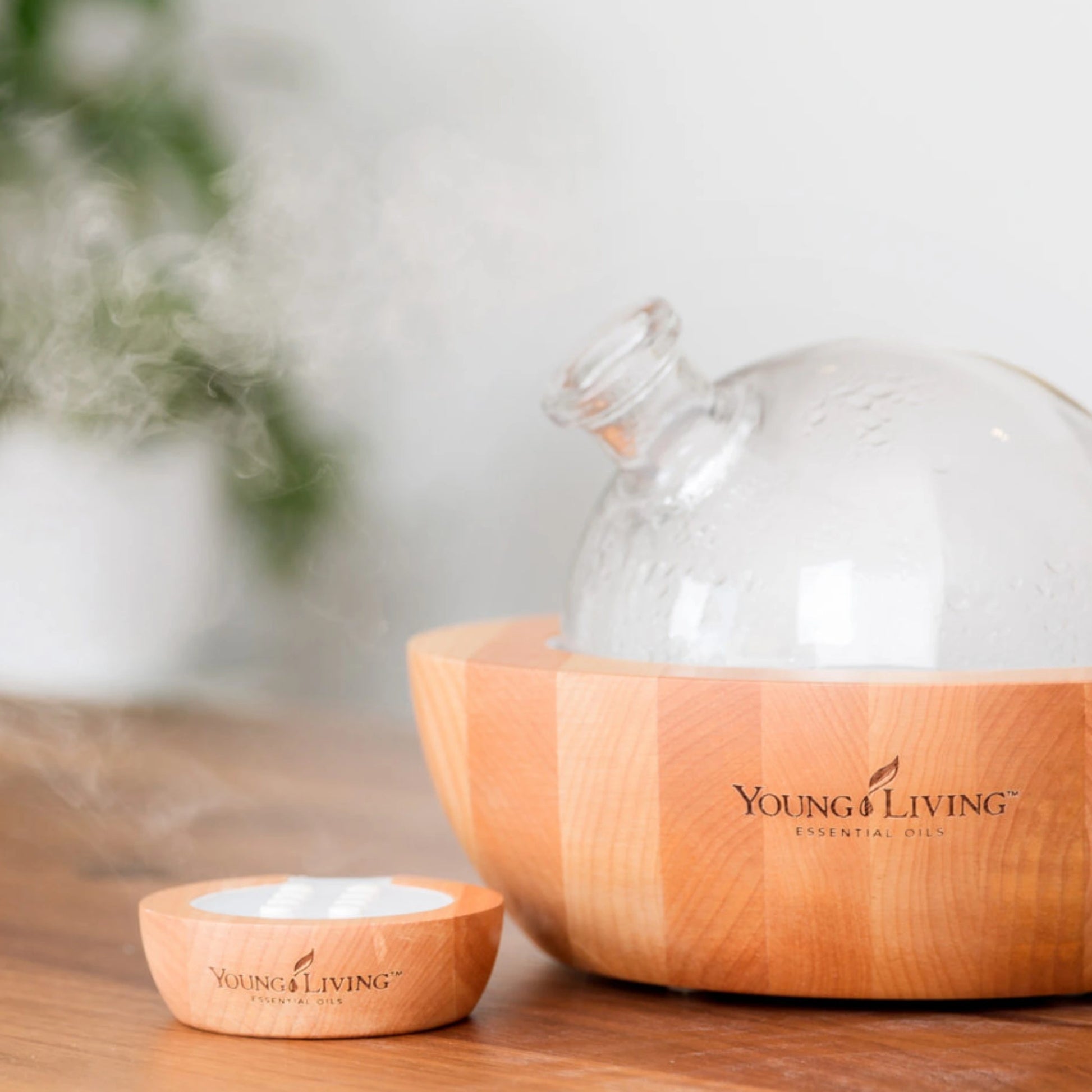Heerlijke geuren vullen de woonkamer dankzij de essentiële oliën van Young Living in de Aria Ultrasonic Diffuser. Creëer een ontspannen en harmonieuze sfeer thuis.
