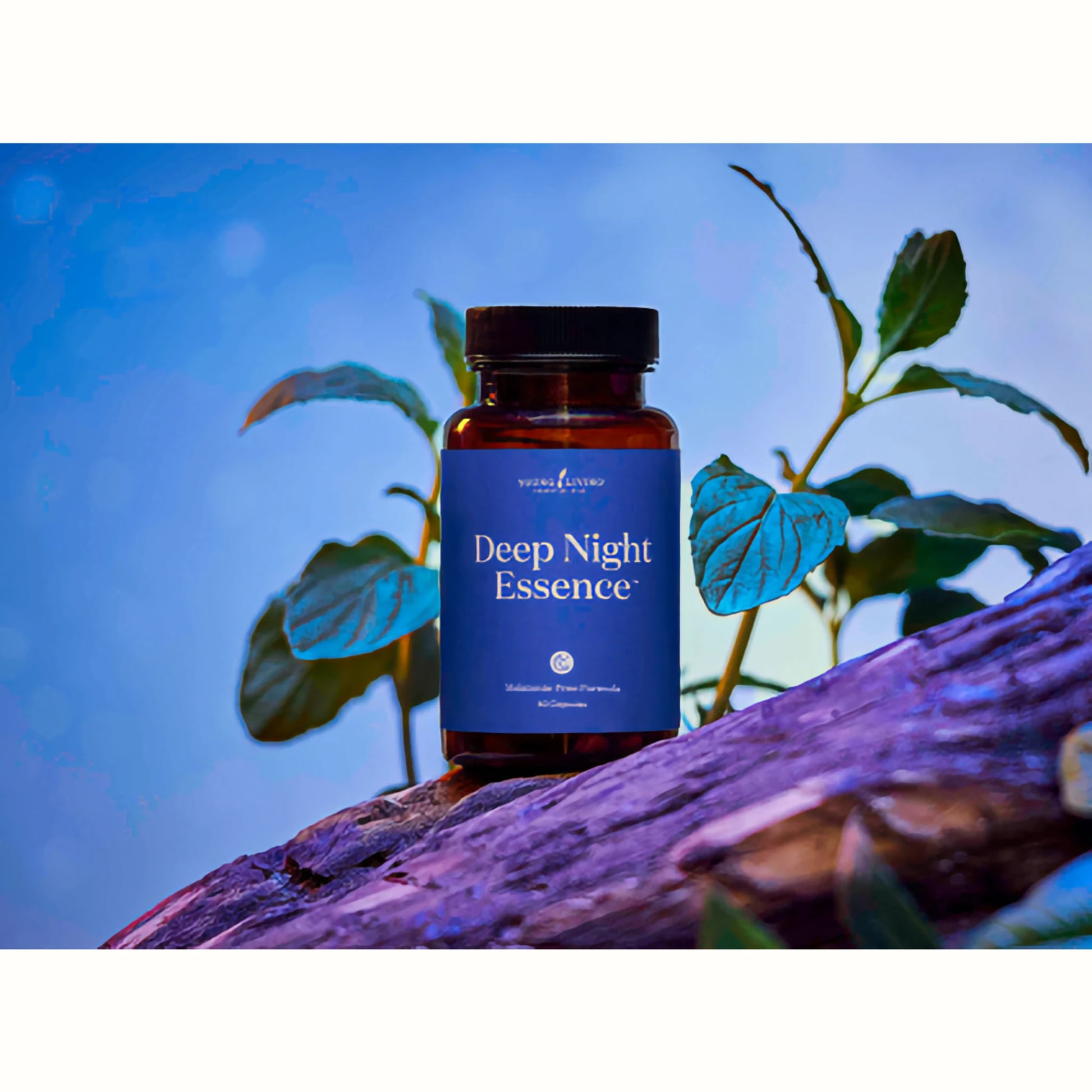Deep Night Essence ondersteunt bij autisme en prikkelverwerking op een zachte, natuurlijke manier