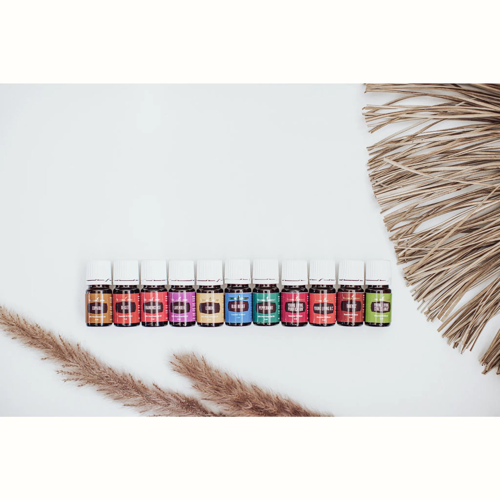 Rij met Young Living essentiële oliën zoals Lavender, Peppermint en Stress Away, ideaal voor ondersteuning bij overprikkeling, spanning, perimenopauze of als natuurlijke EHBO-kit.