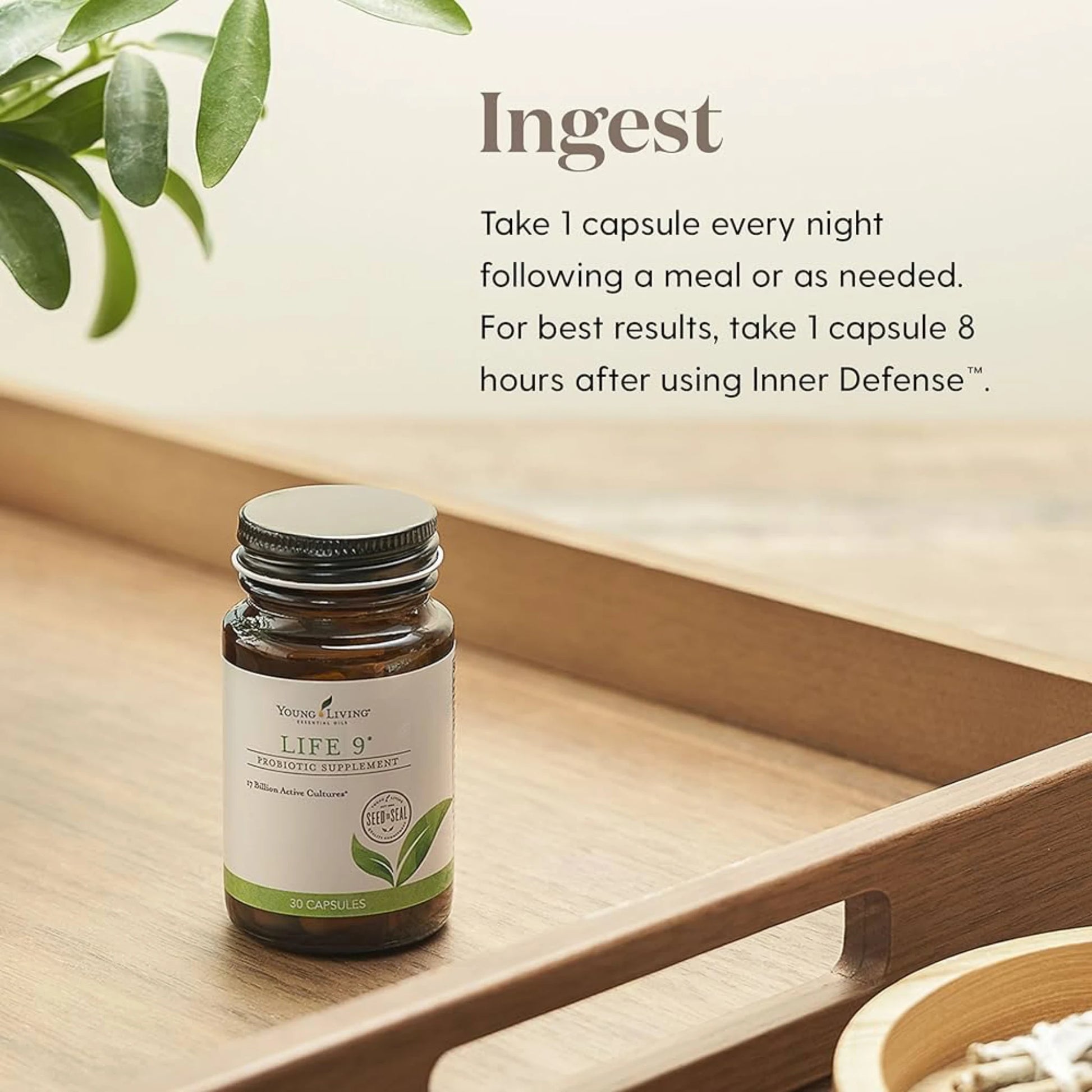 Life 9 probiotica van Young Living met advies om 1 capsule ‘s avonds in te nemen voor optimale darmgezondheid.
