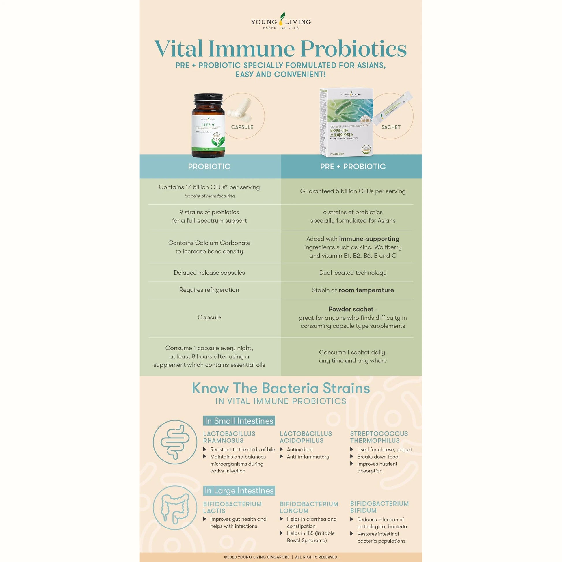 Vergelijking tussen Life 9 en Vital Immune Probiotics met focus op bacteriestammen en spijsverteringsondersteuning.
