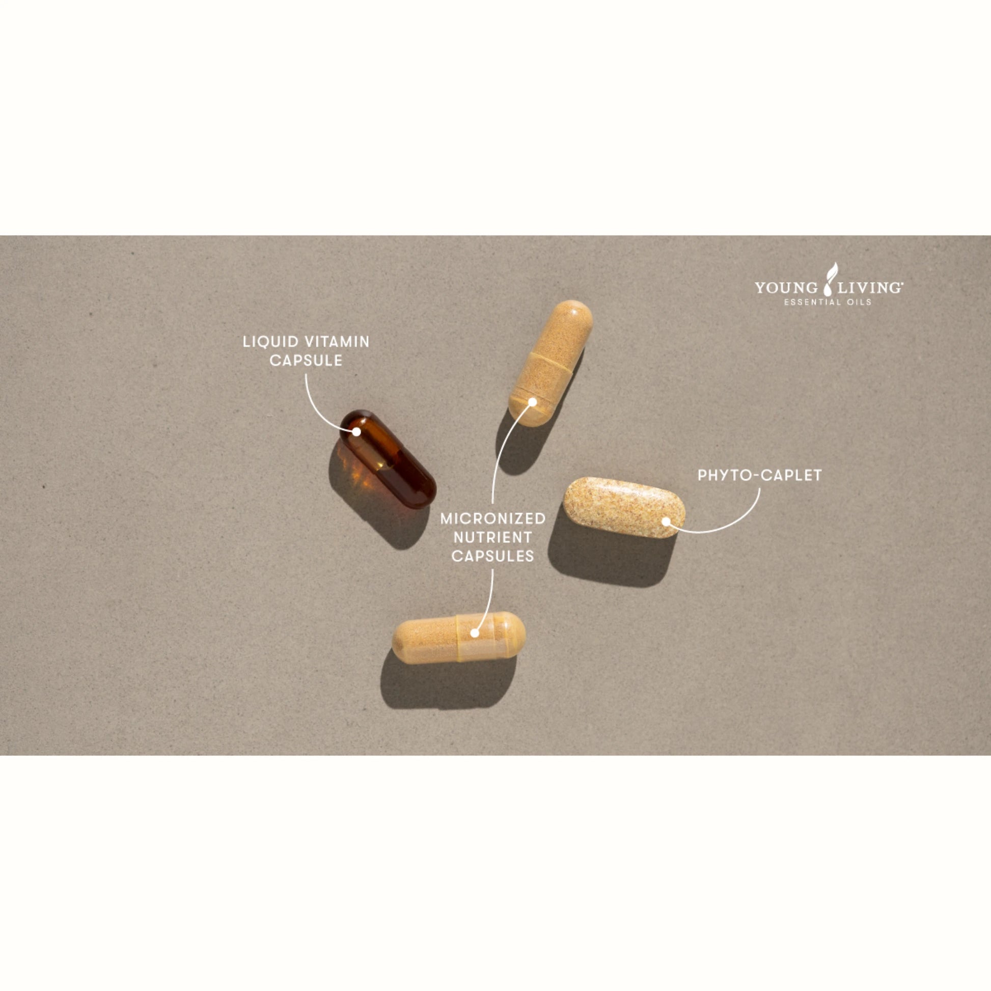 Detail van Master Formula capsules van Young Living: inclusief vloeibare vitamines, fyto-complex en micronutriënten – optimale opname zonder onnodige toevoegingen.