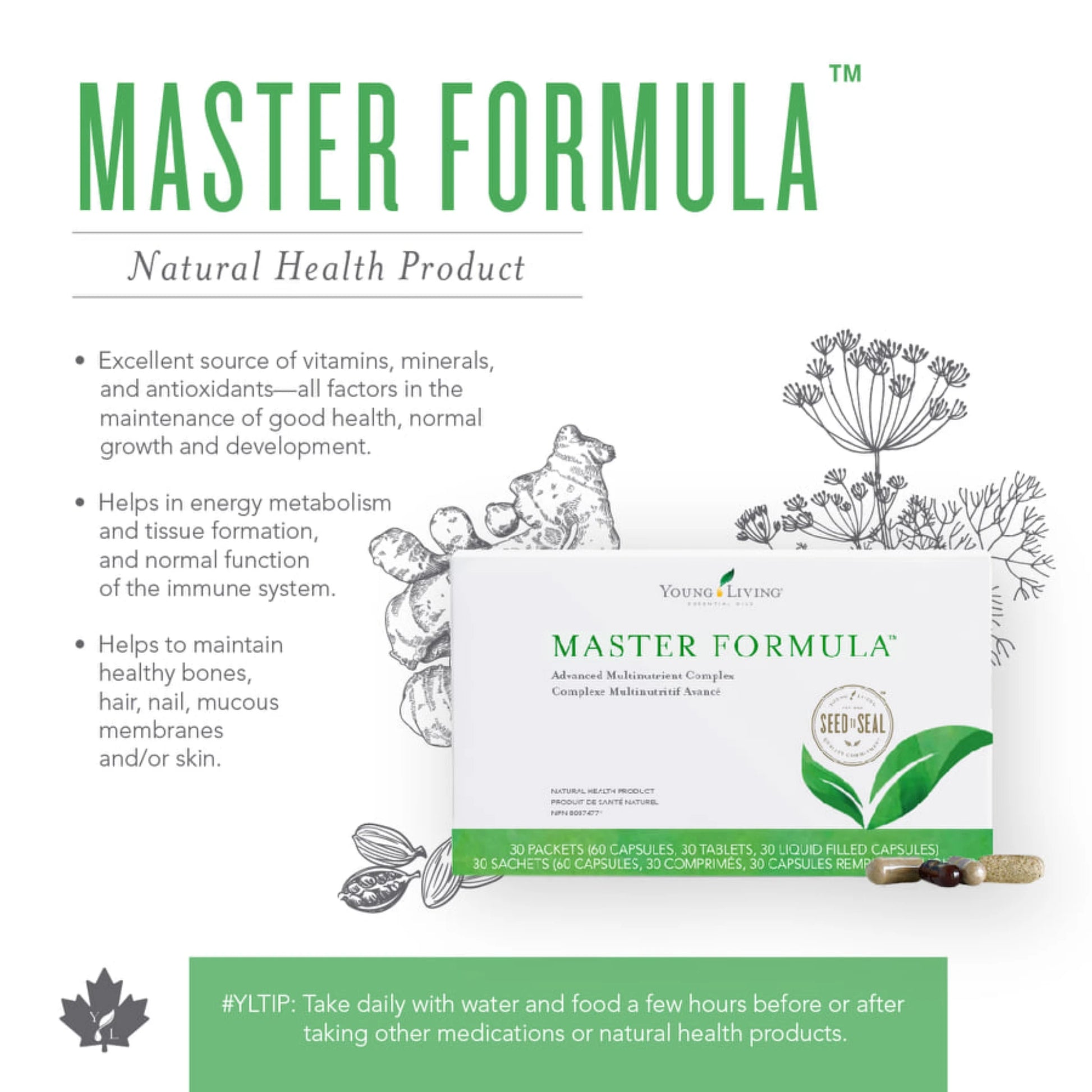 Master Formula van Young Living – wetenschappelijk samengesteld supplement voor ondersteuning bij vermoeidheid, tekorten, schildklierfunctie en algehele gezondheid. Zonder schadelijke vulstoffen of kleurstoffen.
