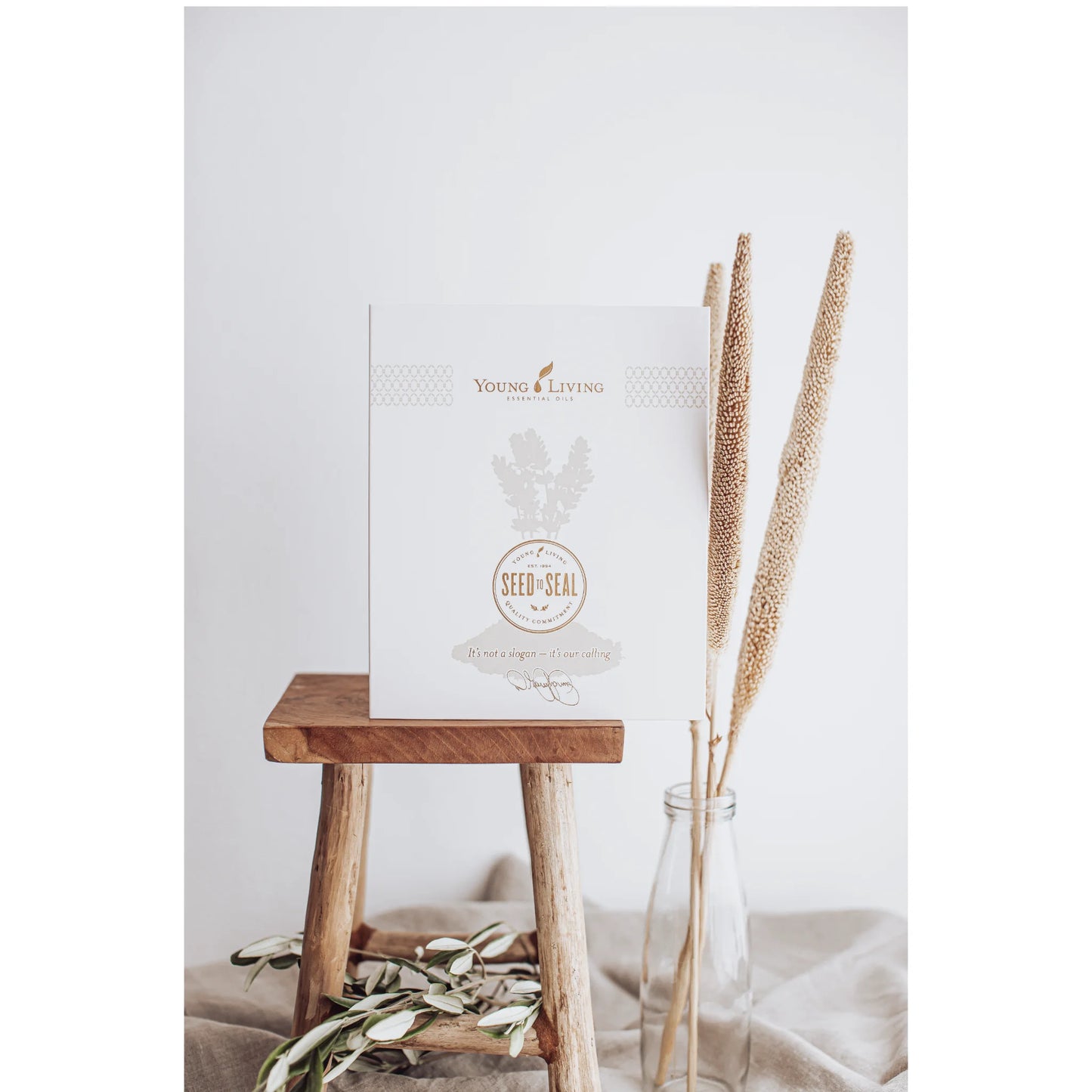 Natuurlijke oliën bij longontsteking in stijlvolle Macaron Diffuser Starterkit
