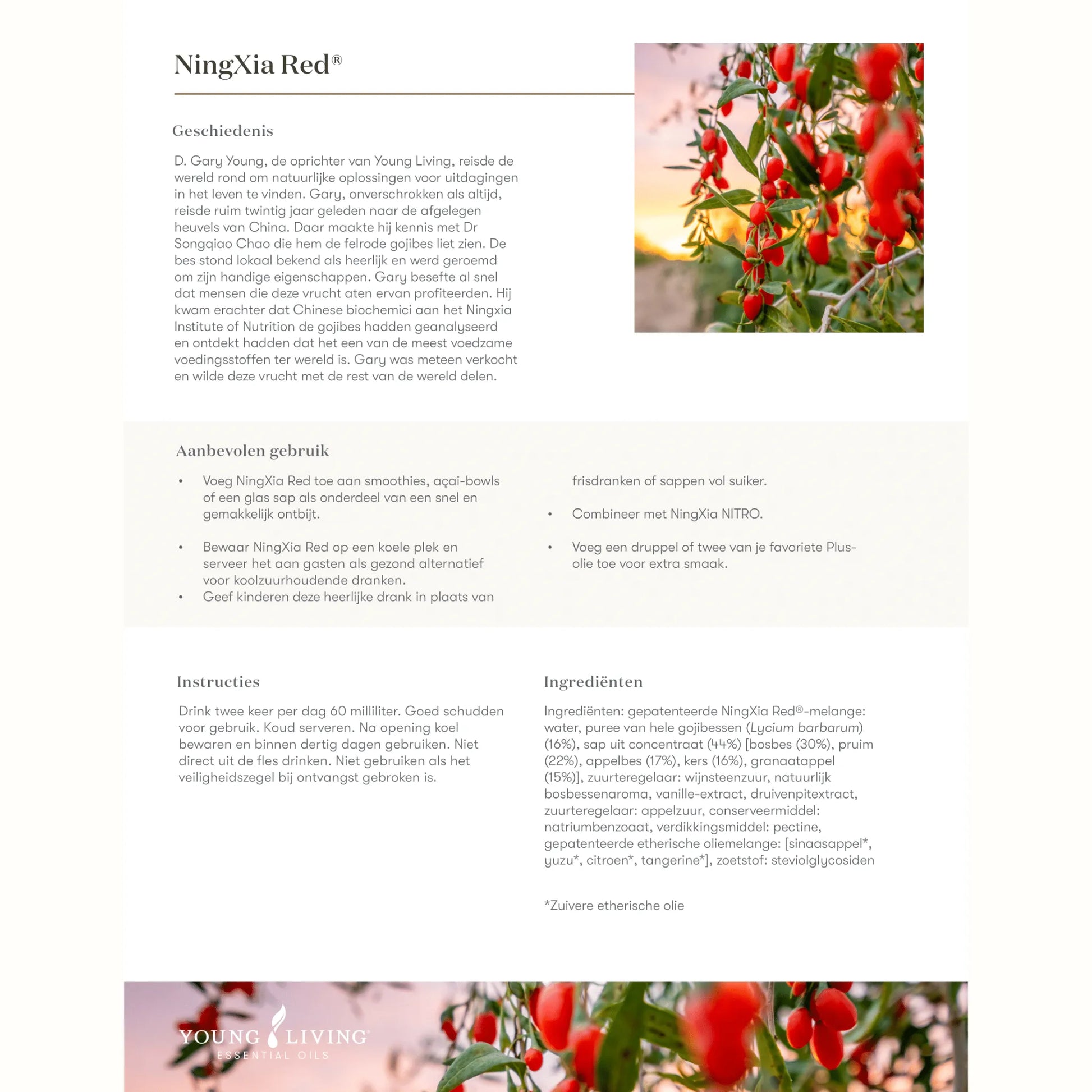 Informatieve poster over NingXia Red van Young Living – met uitleg over de geschiedenis van de gojibes, gebruiksinstructies en natuurlijke ingrediënten zoals bosbes, pruim, kers en essentiële oliën.