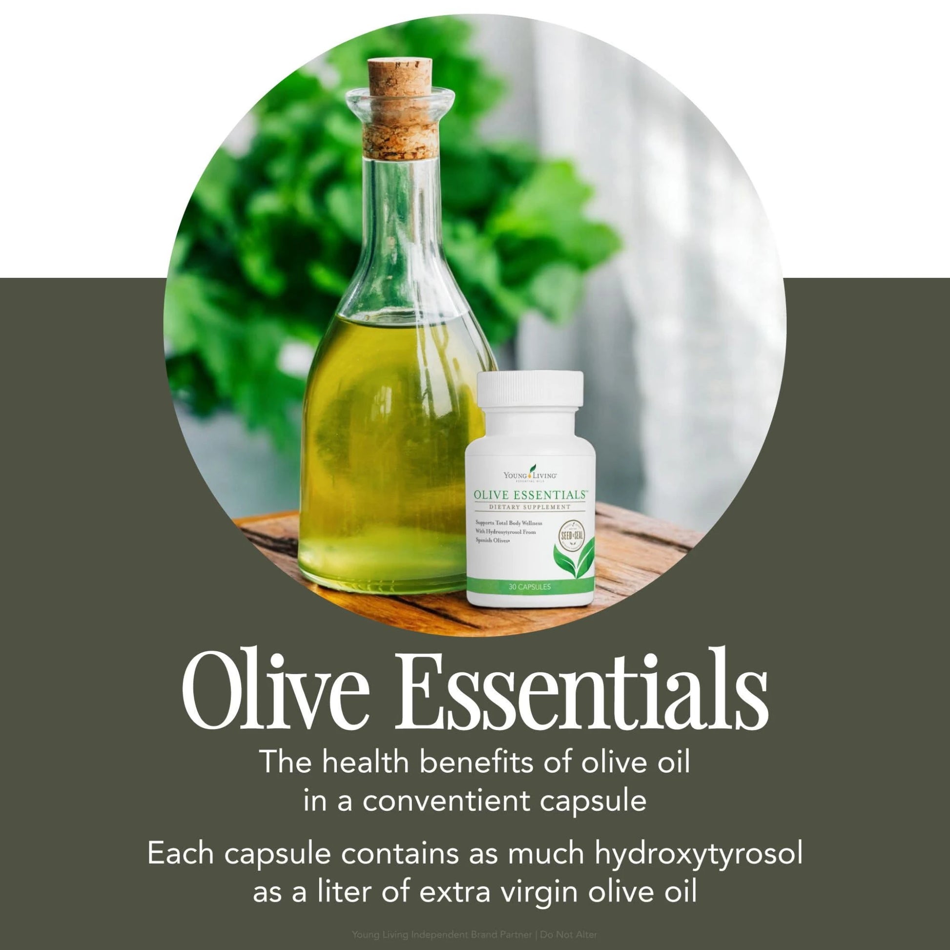 Young Living Olive Essentials supplement naast een fles extra vierge olijfolie – elke capsule bevat een krachtige dosis hydroxytyrosol, dat de huid helpt verjongen, elasticiteit ondersteunt en bijdraagt aan sterke botten.