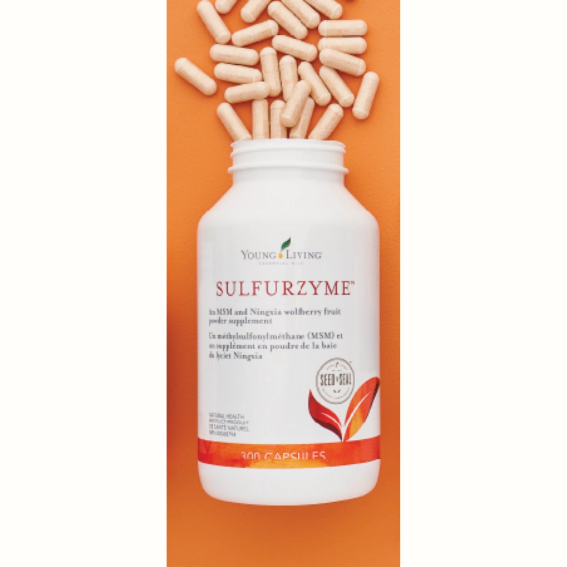 Young Living supplementen zoals Sulfurzyme, MultiGreens en AlkaLime – natuurlijke ondersteuning bij vermoeidheid, spijsvertering en pijnlijke gewrichten.
