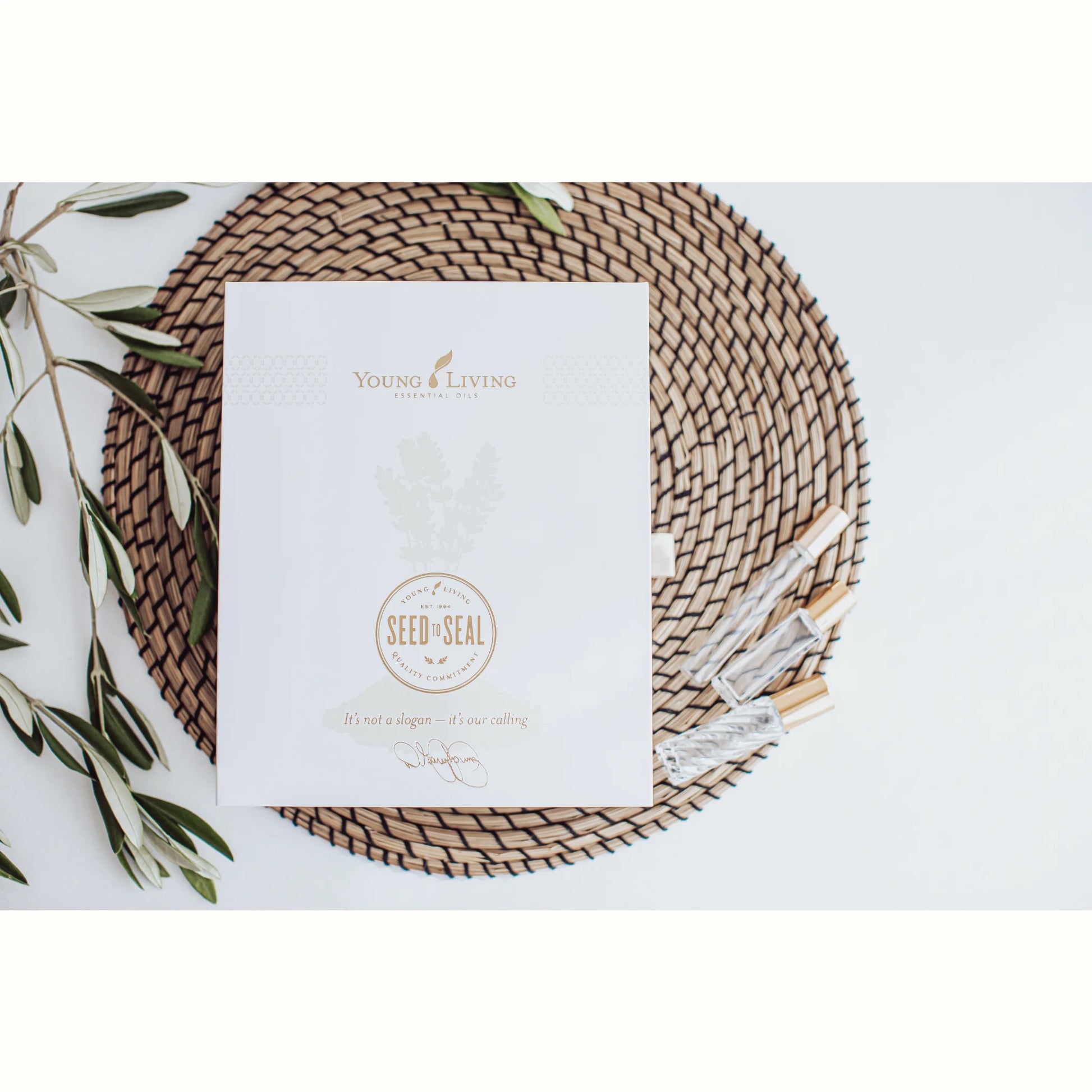 Gesloten Young Living Starterkit met Seed to Seal-kwaliteitspredicaat, omringd door glazen rollers en olijftakken – symbool voor pure, natuurlijke ondersteuning bij perimenopauze, migraine of overprikkeling.