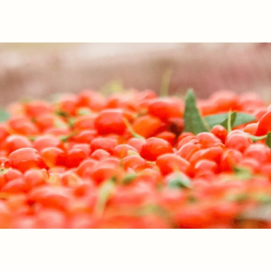 gezonde darmflora natuurlijke producten