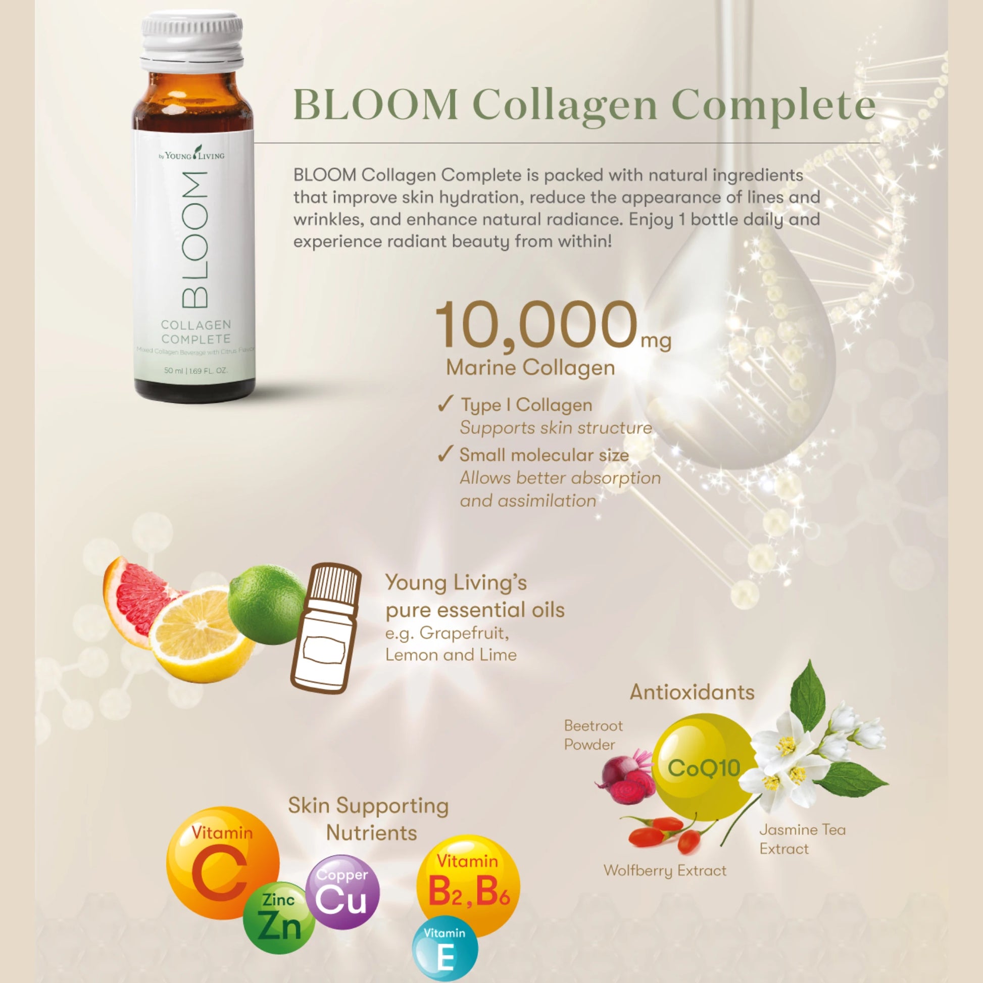 Infographic van Bloom Collagen met 10.000 mg marien collageen, antioxidanten, vitamines en etherische oliën – ondersteunt elasticiteit, hydratatie en huidverjonging van binnenuit.