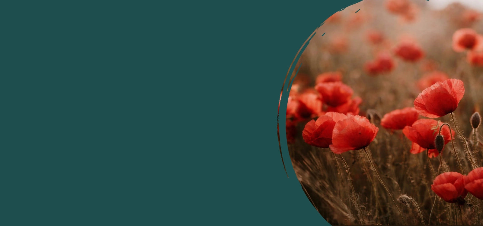 Holistic naturopath offering natural health consultations for expats in South Portugal, focused on whole-body healing, root-cause analysis and gentle plant-based medicine in a calm, professional setting