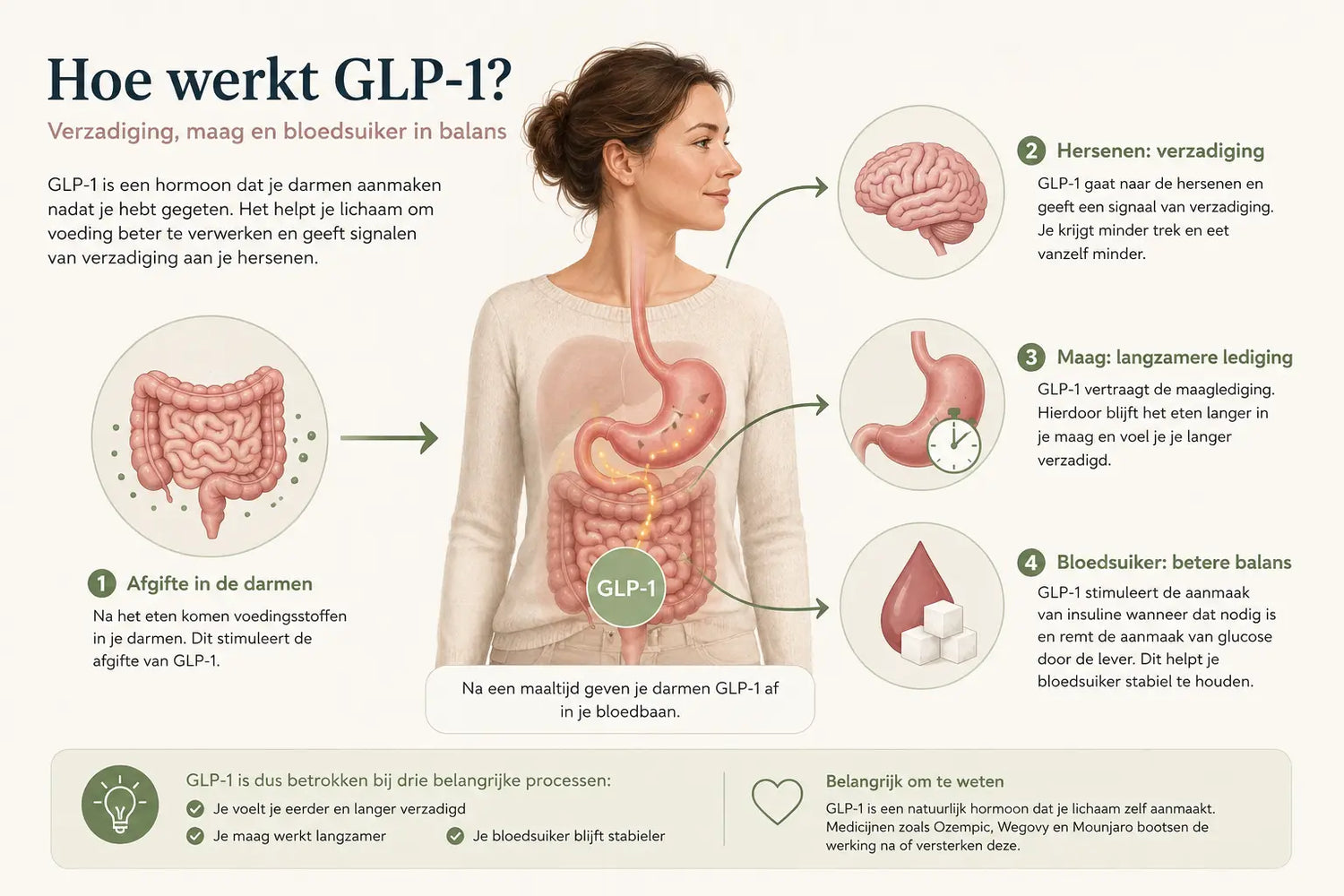 uitleg over werking GLP-1