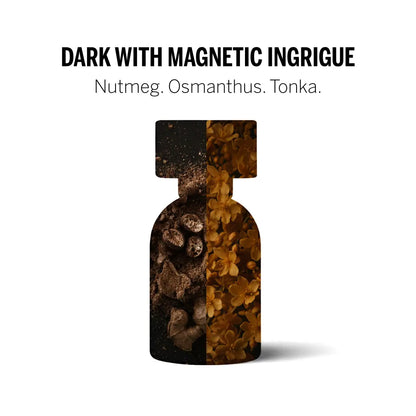 Wyld Notes Black Book geurprofiel met nootmuskaat, osmanthus en tonka als kruidige en diepe parfum.