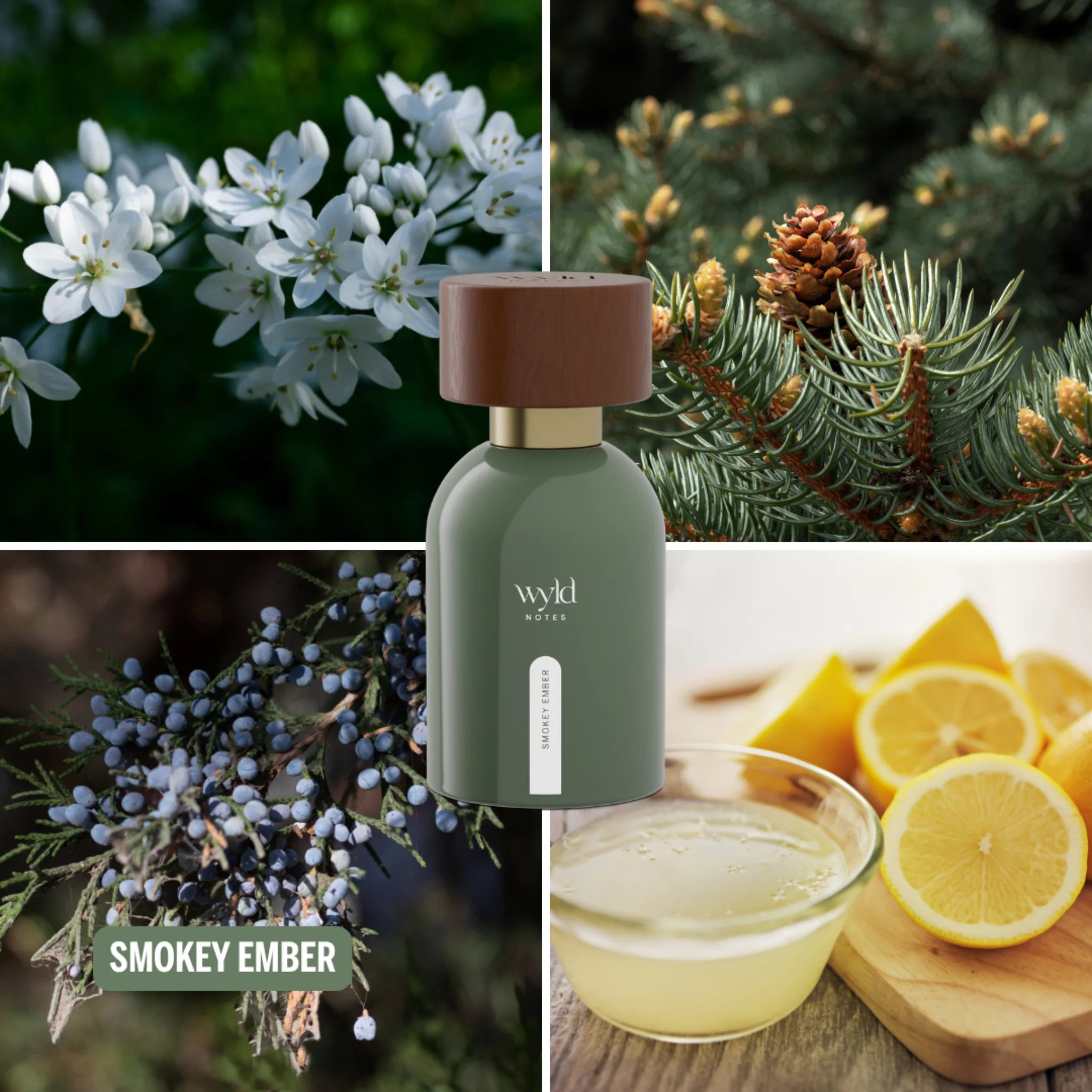Collage van Wyld Notes Smokey Ember met witte bloemen, naaldboomtakken, jeneverbes en citroen als visuele geurassociaties.