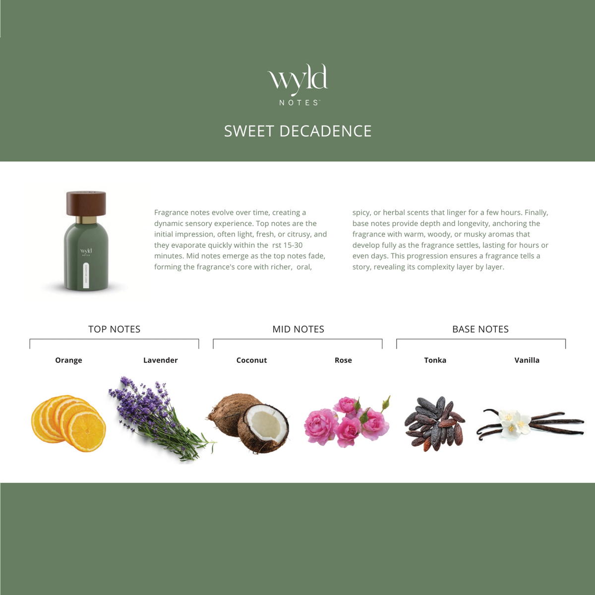 Geurpiramide van Wyld Notes Sweet Decadence met sinaasappel, lavendel, kokos, roos, tonkaboon en vanille.